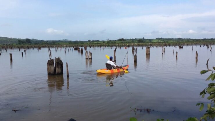 Kayaking on Gatun Lake, Panamá Canal