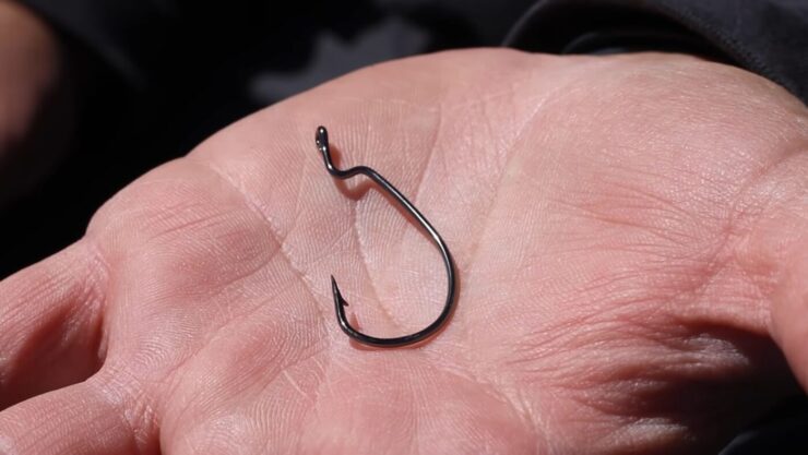 Hook for Carolina Rig