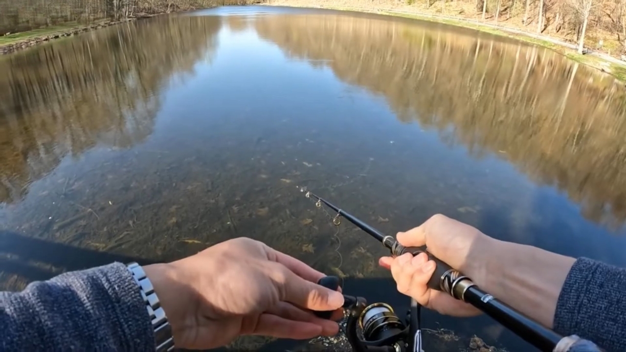 Angler uses a compact fishing rod beside a calm wooded lake