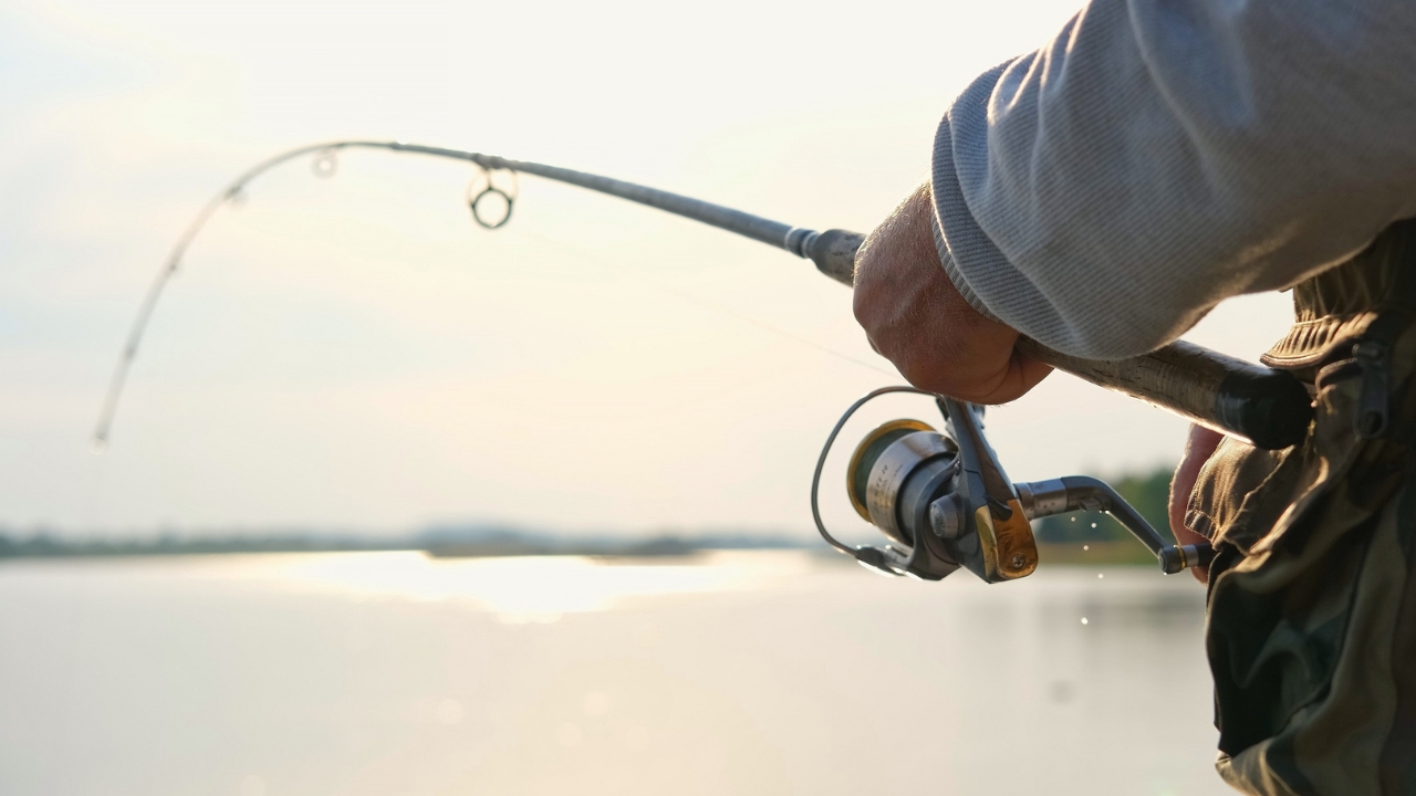 Angler bends a spinning rod during a strong catch near the water