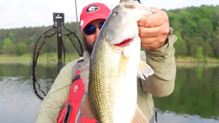 La technique de pêche au Texas Rig - Guide complet