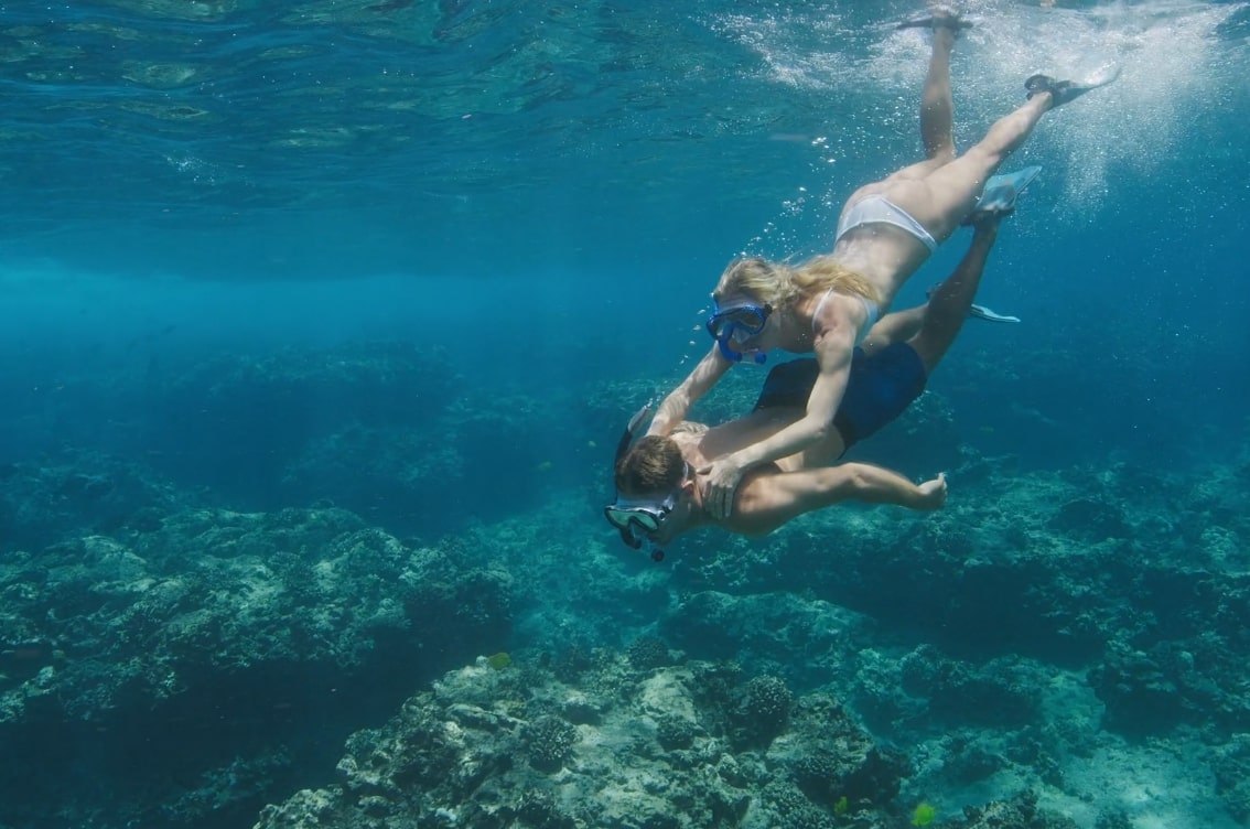 Snorkling för barn 101